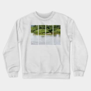 Lake with swans and ducks in the water. Relax in the nature. Sunny summer day in Poland. Crewneck Sweatshirt